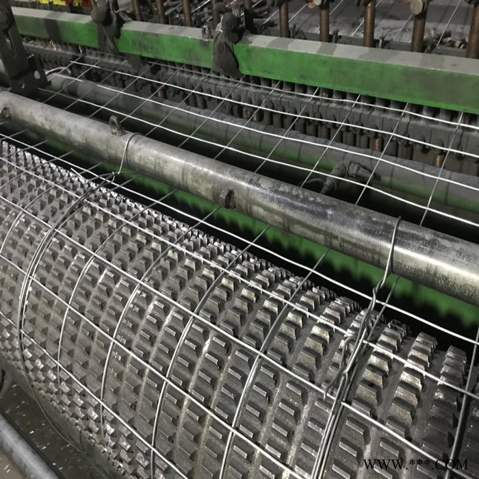 宏乐 安平改拔丝电焊网 电镀锌焊接网 冷镀锌电焊铁丝网**价廉图3