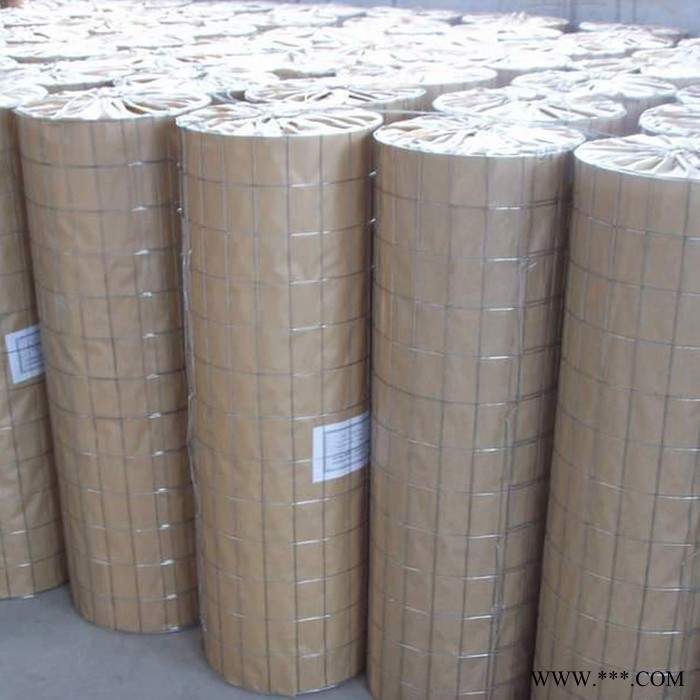 宏乐 厂家现货供应改拔丝电焊网 电镀锌电焊网 建筑防裂保温钢丝网图4