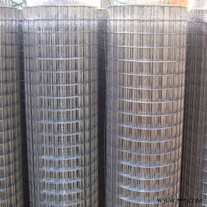 宏乐 厂家现货供应改拔丝电焊网 电镀锌电焊网 建筑防裂保温钢丝网图5