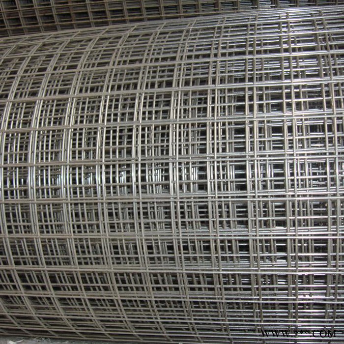 宏乐 厂家现货供应改拔丝电焊网 电镀锌电焊网 建筑防裂保温钢丝网图3