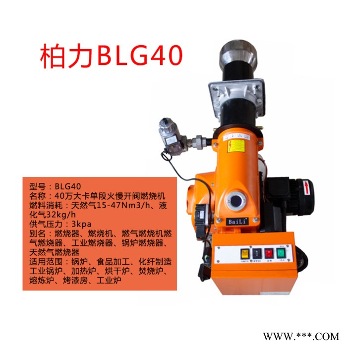 40万大卡单段火慢开阀燃烧机 锅炉燃烧器 焚烧炉 烤漆房 窑炉 电镀厂 化纤厂 烘烤厂 苗圃加热器图2