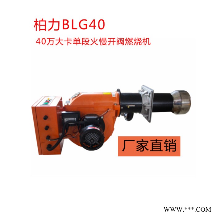40万大卡单段火慢开阀燃烧机 锅炉燃烧器 焚烧炉 烤漆房 窑炉 电镀厂 化纤厂 烘烤厂 苗圃加热器图3