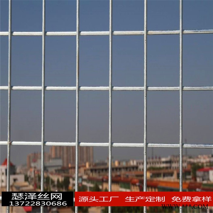 点焊异型网片  电镀网片 热度网片  防护网片 防爬网片  围栏网片 隔离网片 护栏异形网片  量大从优图2