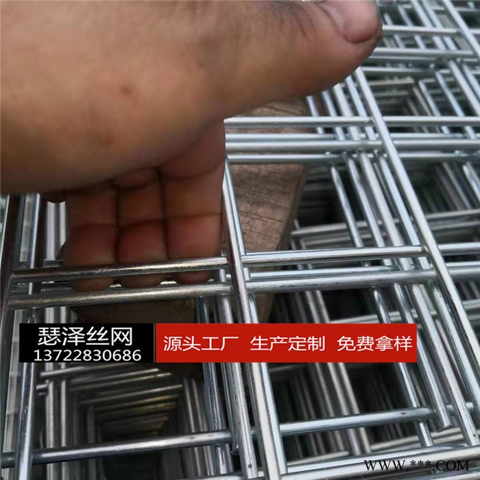 点焊异型网片  电镀网片 热度网片  防护网片 防爬网片  围栏网片 隔离网片 护栏异形网片  量大从优