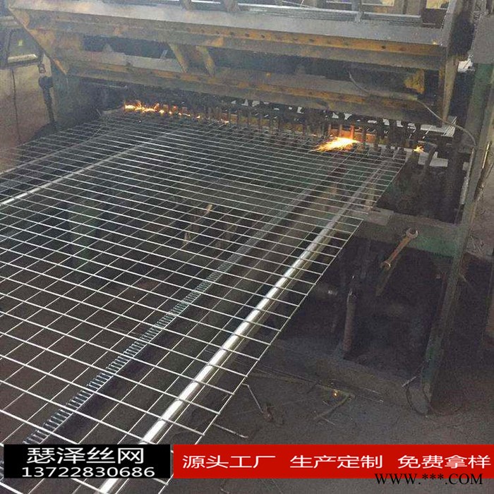 瑟泽 点焊异型网片  电镀网片 热度网片 防护网片 防爬网片  围栏网片 隔离网片 护栏异形网片  量大从优