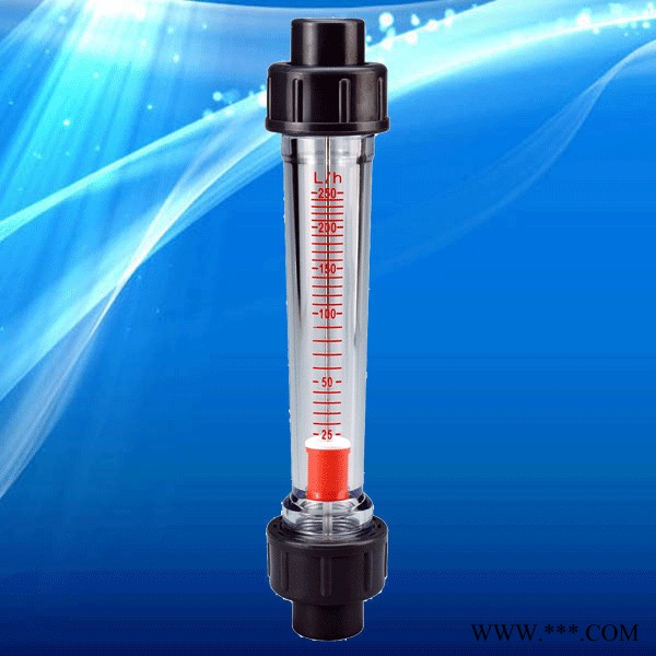 LZS-15污水流量计、 塑管式流量计  酸碱水流量计、电镀水流量计图2