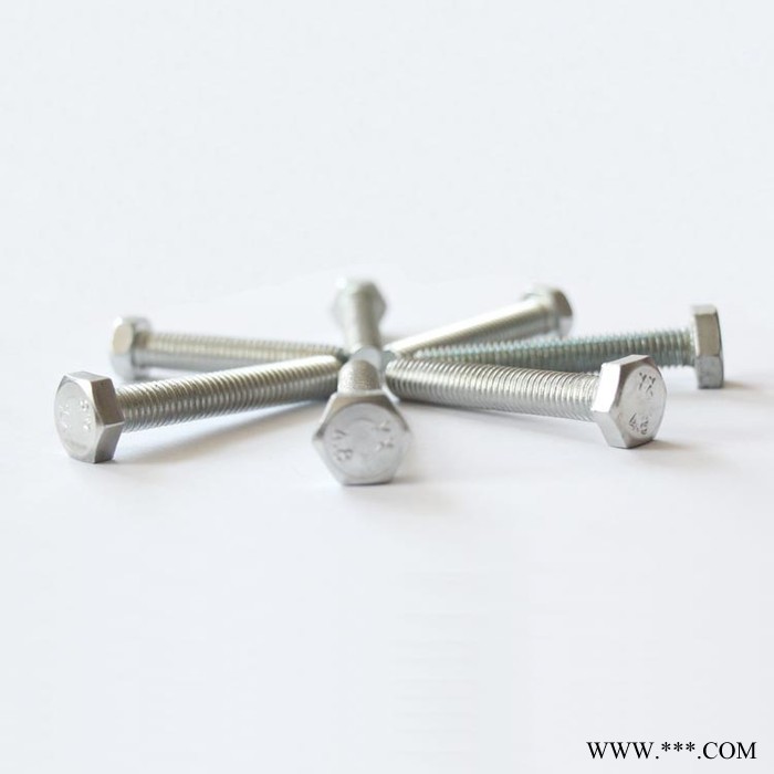 现货镀锌螺栓 电镀 热镀 达克罗 渗锌 镀白 镀蓝 镀彩高强度螺栓 不锈钢螺栓图6