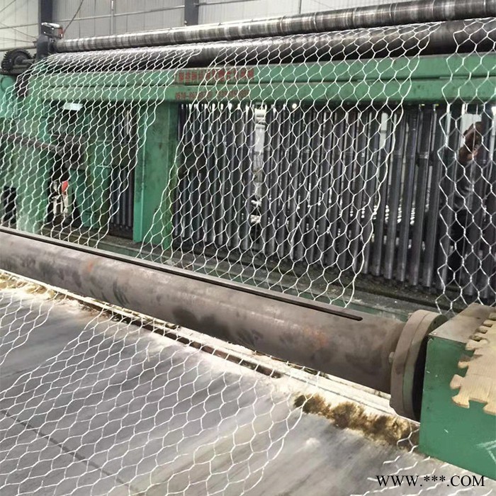 嘉恩 直销 石笼护垫 绿格网 电镀锌石笼网 石笼网用途 护岸铅丝笼 石笼网现货图5