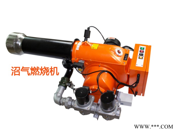 80万大卡双段火线性燃烧机E型燃烧机枪型燃烧器燃气燃烧机锅炉焚烧炉烤漆房烘干炉熔炼炉食品加工化纤制造加热炉工业炉电镀压铸图5