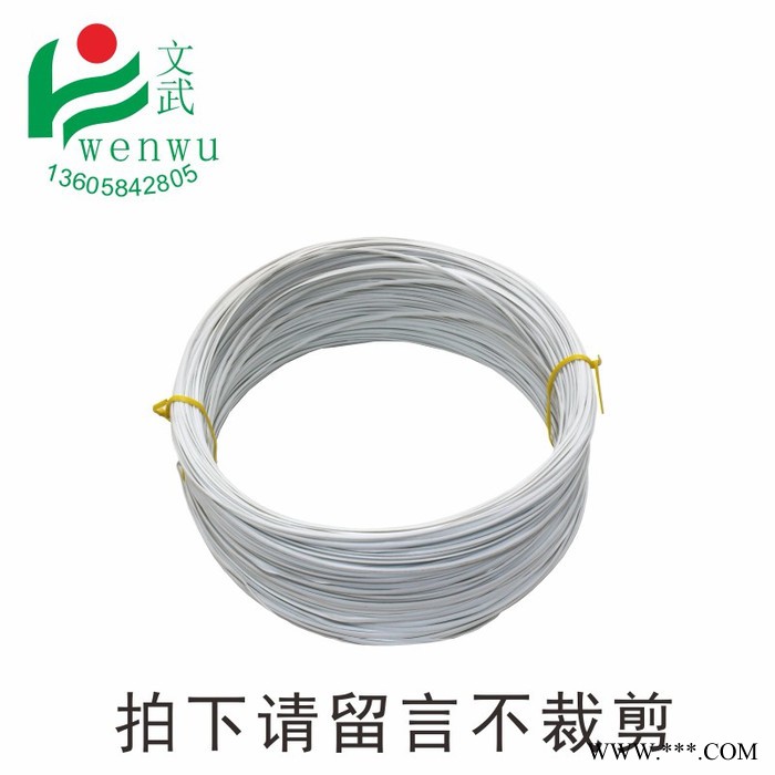 铁芯扎带生产 铁芯扎带台灯电线网线电缆绑丝线带白绑线带电镀锌铁丝扎线价格  10cm扎丝1000条 铁线莲支架扎带图3