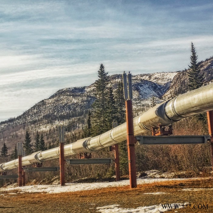 环氧带锈防锈底漆 灰铝粉石墨面漆 环氧地坪面漆 过氯乙烯底漆图8