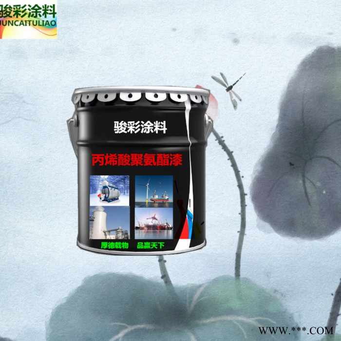 骏彩新材料   濮阳氟碳涂料 氟碳油漆 灰铝粉石墨醇酸漆图7