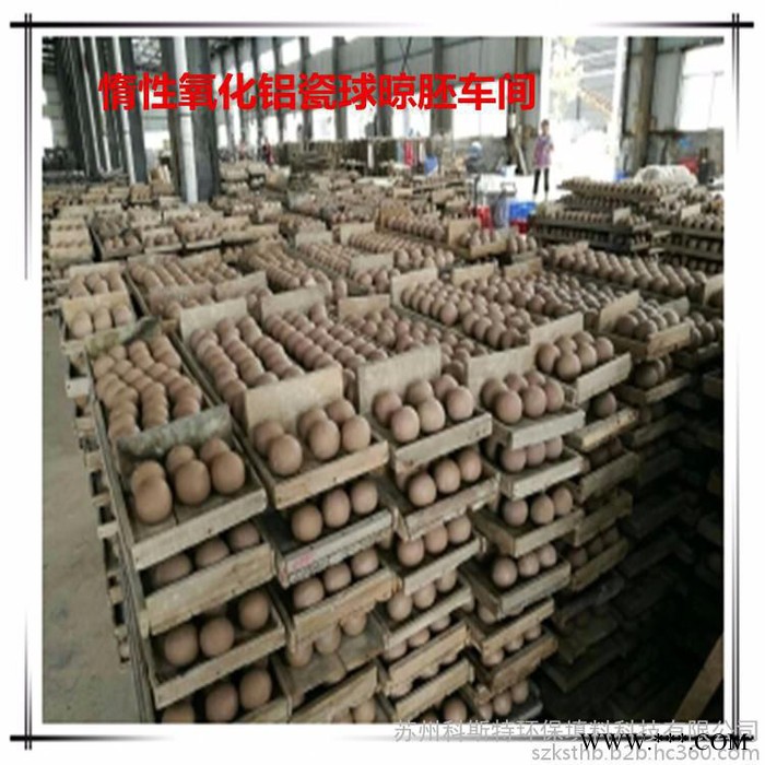 苏州科斯特 DN10 惰性氧化铝瓷球 高铝瓷球 普通瓷球 耐压耐火瓷球图4