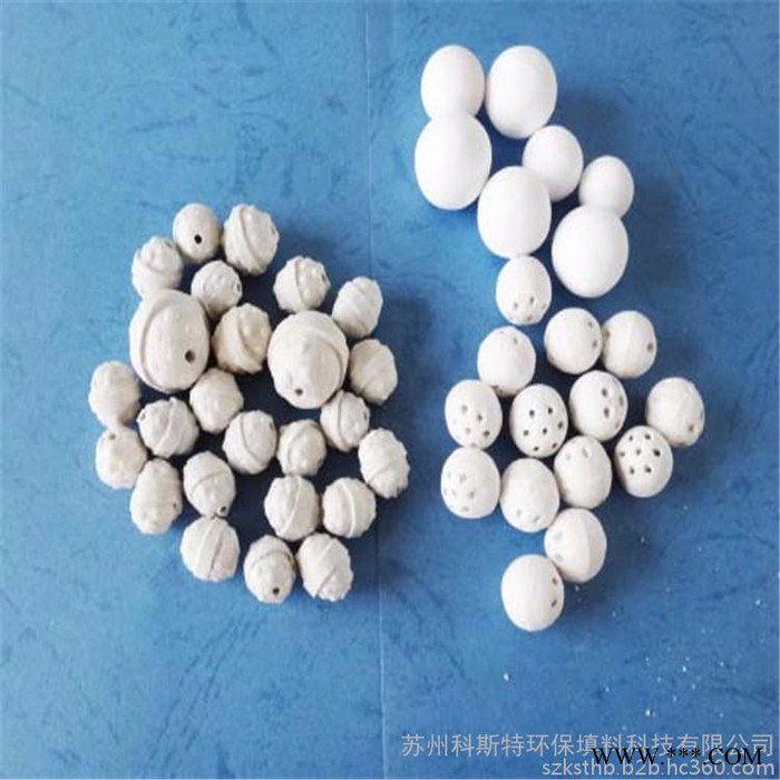 苏州科斯特 DN10 惰性氧化铝瓷球 高铝瓷球 普通瓷球 耐压耐火瓷球图3