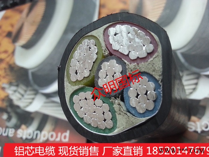 供应YJLV3*95+2*50铝电缆/铝线/电缆/铝芯电缆/图2