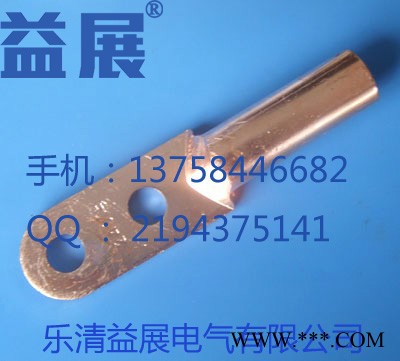 铜铝双孔DTL2系列 接线端子铜铝双孔端子铜铝双孔接线端子铜铝线鼻子压接工艺益展电气图3