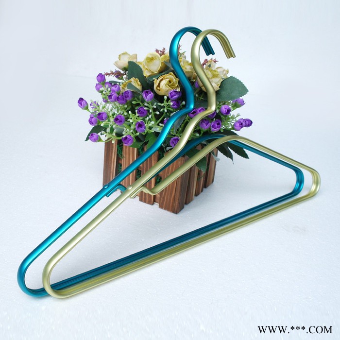 成人铝合金衣挂 潮铝线衣架服装店 金属扁铝男士展示衣服挂图2