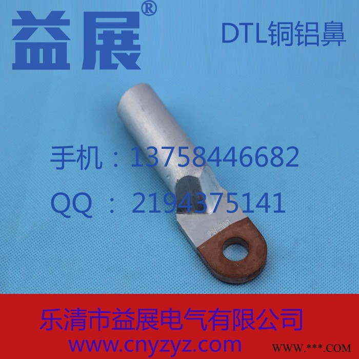DTL-10mm2铜铝鼻子 铜铝过渡接线端子 铝线电缆接头 堵油接线鼻图4