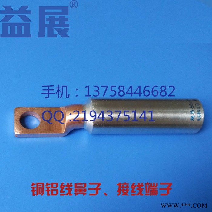 DTL-10mm2铜铝鼻子 铜铝过渡接线端子 铝线电缆接头 堵油接线鼻图2