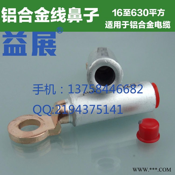 温州铜铝线鼻子压接工艺,铝合金电缆铜铝鼻制作,DTL-2-300平方圆头铜铝接线端子规格图2
