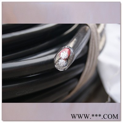 铝电缆两项电YJLV 2*16/10/25平方路灯照明线电源线国标2芯铝线图3