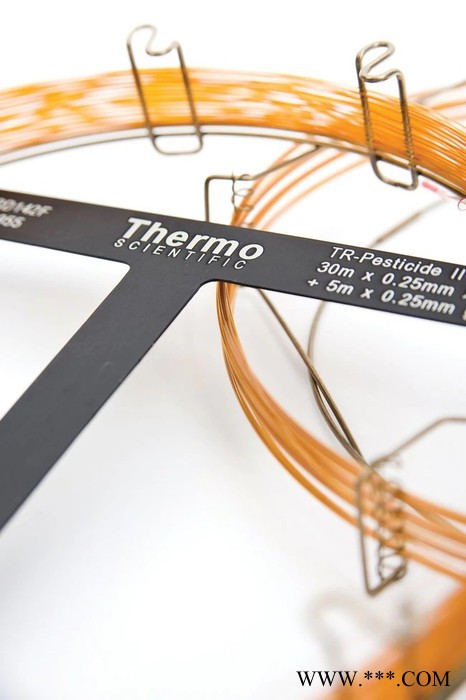 PLOT色谱柱 美国赛默飞原装进口 TracePLOT TG-BOND 氧化铝GC Na2SO4色谱柱图2