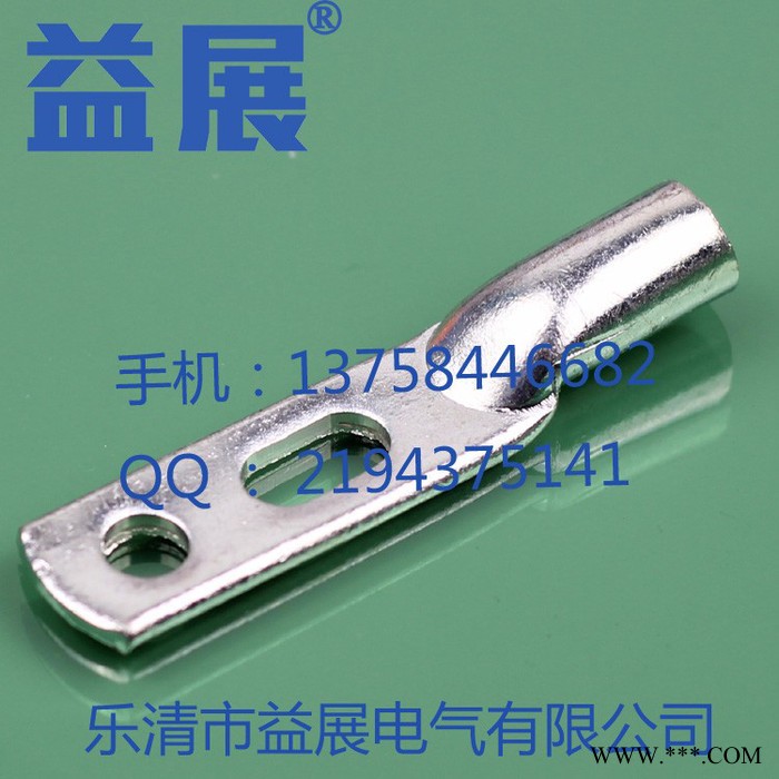 益展DTL2端子DTL-95mm2 双孔铜铝鼻子铝合金 铜铝线鼻子 双孔铜铝接线端子 **图8