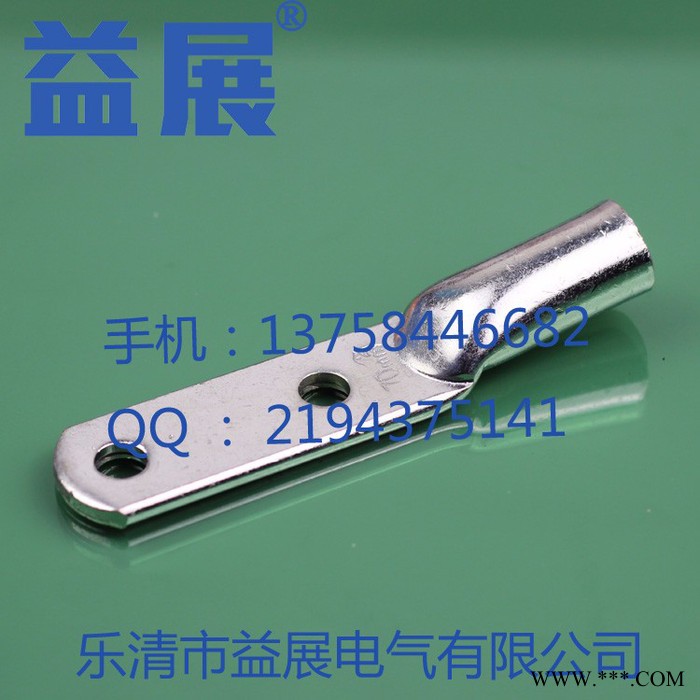 益展DTL2端子DTL-95mm2 双孔铜铝鼻子铝合金 铜铝线鼻子 双孔铜铝接线端子 **图7