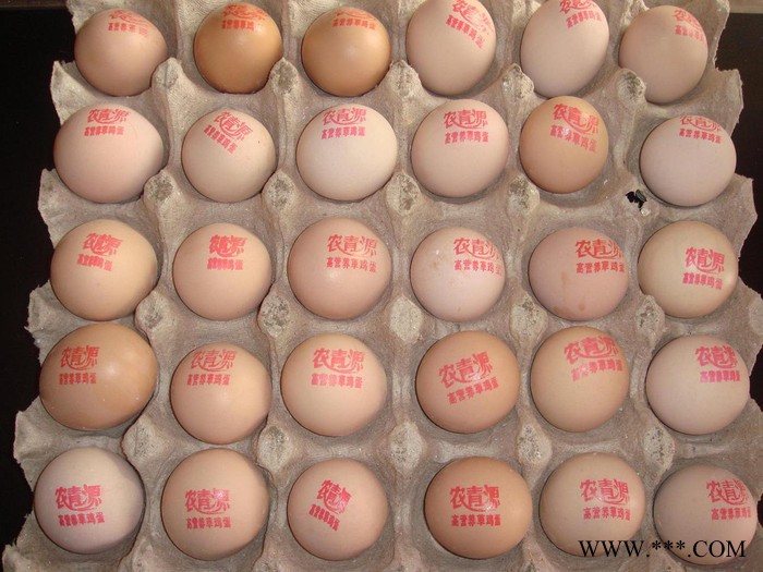 日本KGK全自动日期喷码机 日本KGK全自动墨水喷码机 日本KGK连续式铝箔封口机图2