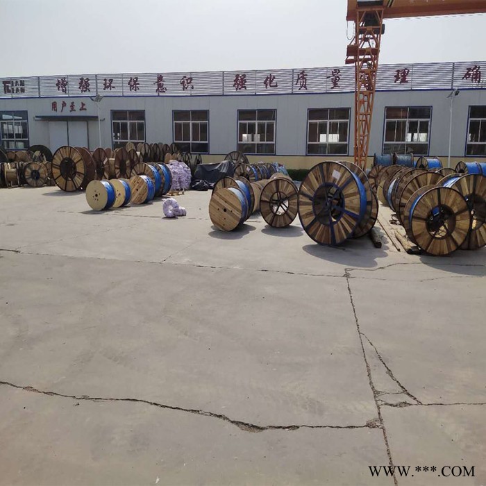 【天联品牌】PROFINETTYPEA铝箔+镀锡丝屏蔽通信电缆天联牌图3