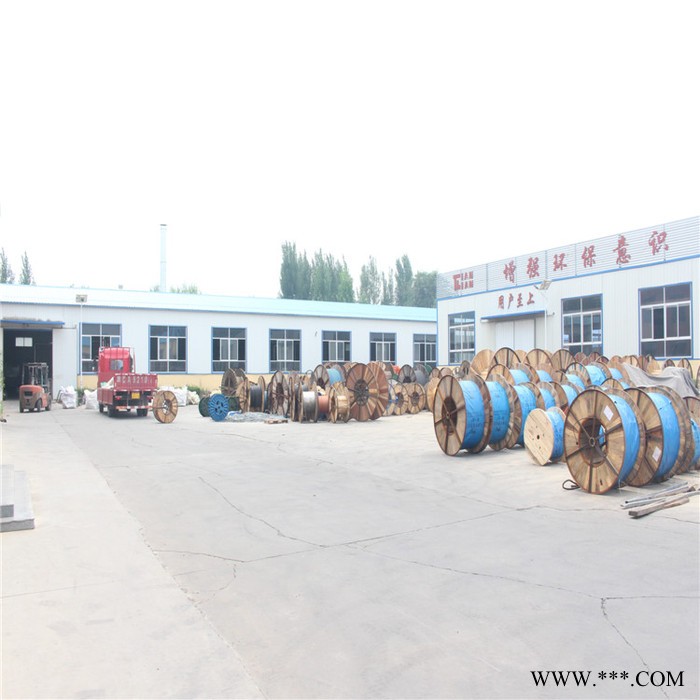 【天联品牌】PROFINETTYPEA铝箔+镀锡丝屏蔽通信电缆天联牌图6