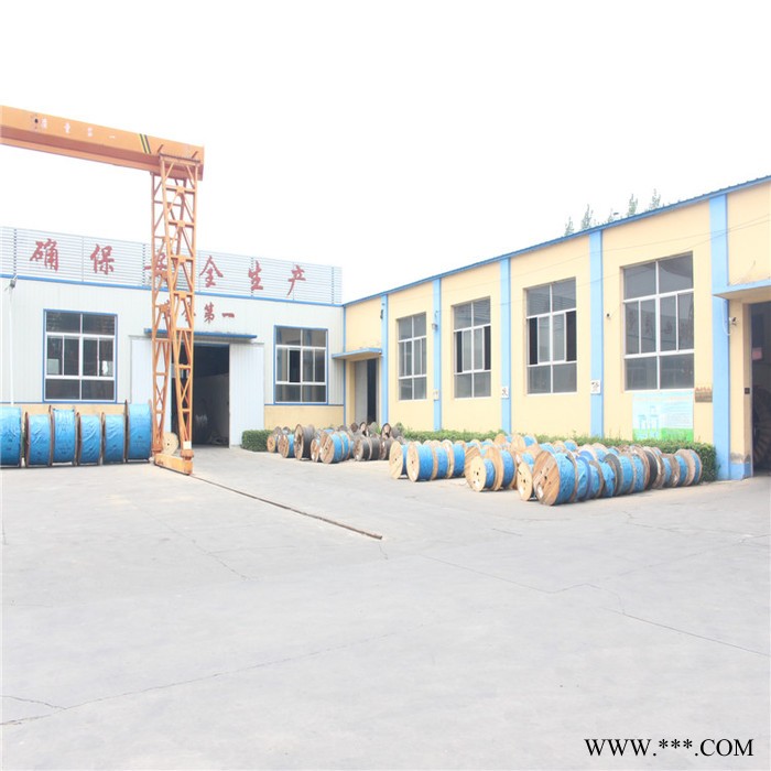 【天联品牌】PROFINETTYPEA铝箔+镀锡丝屏蔽通信电缆天联牌图7