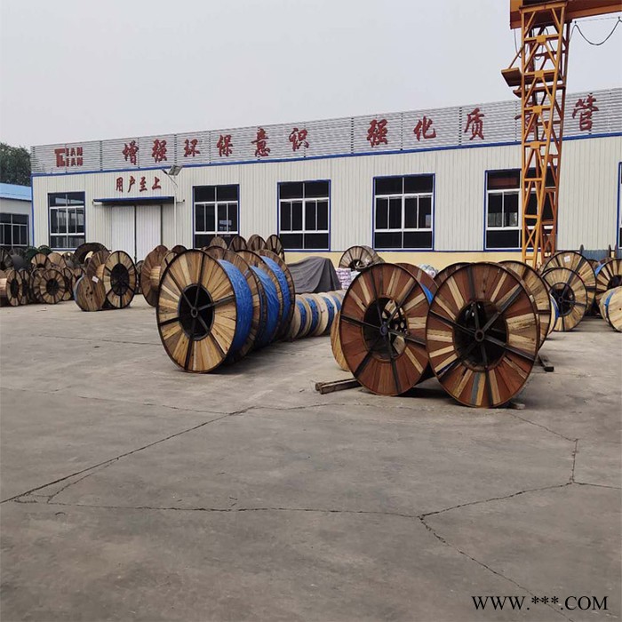 【天联品牌】PROFINETTYPEA铝箔+镀锡丝屏蔽通信电缆天联牌图4