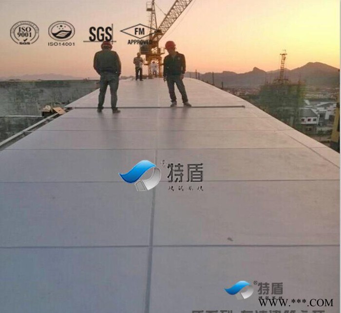 氟碳涂层铝镁锰单板屋顶图3