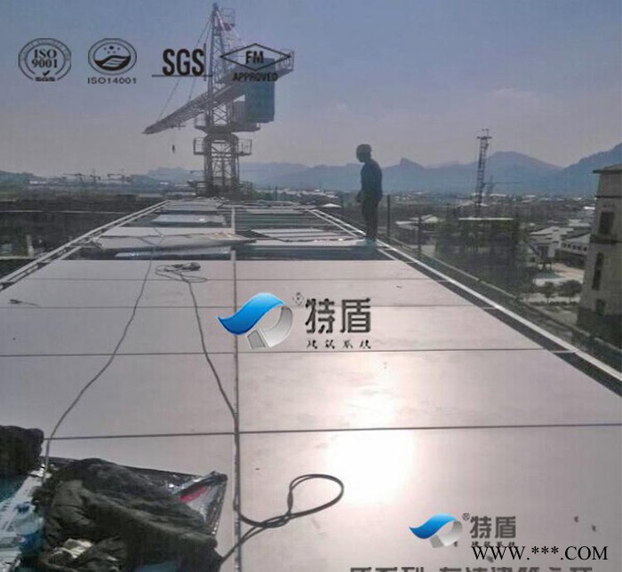 氟碳涂层铝镁锰单板屋顶图2