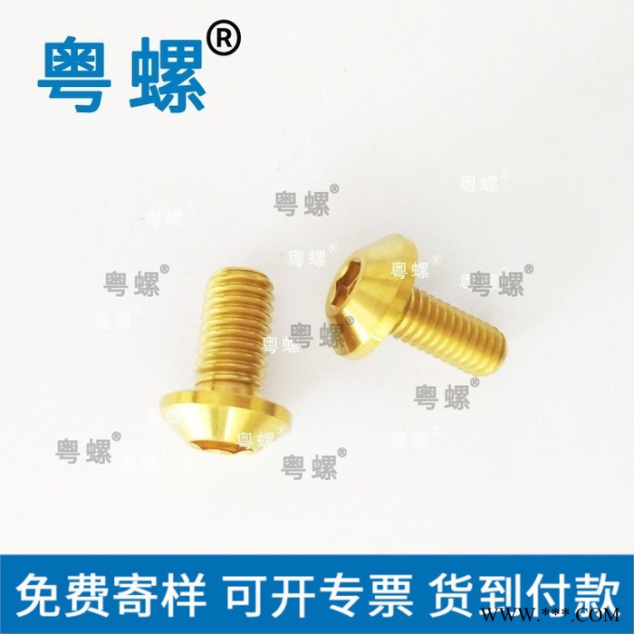 圆柱头内六角钛螺栓 粤螺氮化阳极氧化处理各种颜色鱼尾螺丝 汕头不锈钢螺丝厂 小螺丝图4