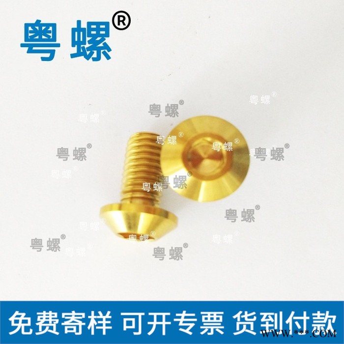 圆柱头内六角钛螺栓 粤螺氮化阳极氧化处理各种颜色鱼尾螺丝 汕头不锈钢螺丝厂 小螺丝图2