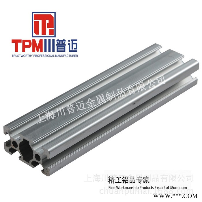 工业铝型材 铝挤压型材欧标铝型材6063 TPM-6-2040 现货图5