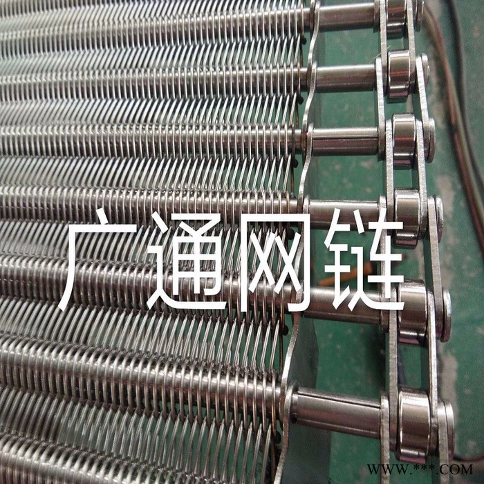 生产热处理炉传输网带 油炸花生米输送网带 大枣烘干机链网的厂家图3