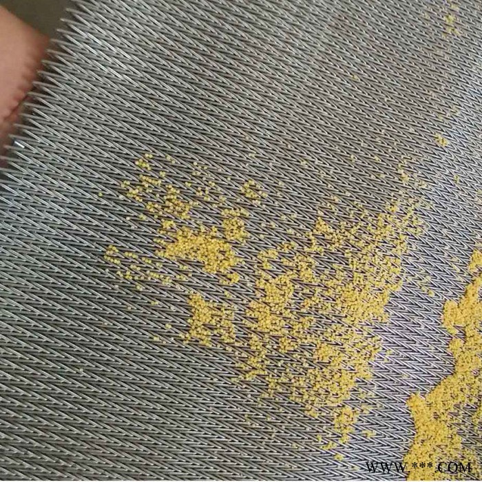 雨辰丝网 流水线金属传动网带 热处理炉耐高温网带 隧道炉窑炉网带图2