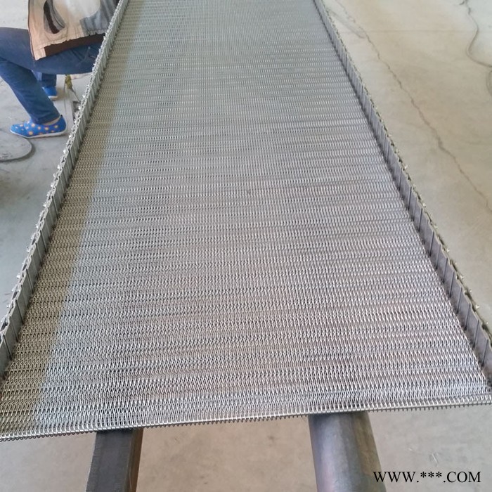 雨辰丝网 流水线金属传动网带 热处理炉耐高温网带 隧道炉窑炉网带图3