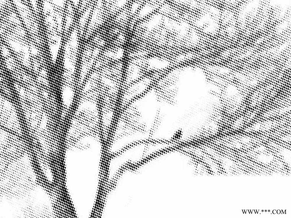 艺术铝板山水画冲孔铝板装饰可定制各种图案图2