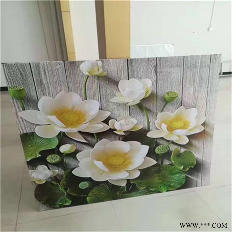 喷涂铝板彩色铝板 彩图铝板 镜面装饰铝板图2